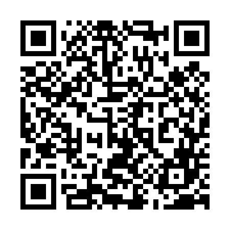 QR code for 597446