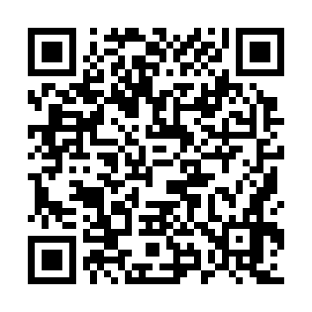 QR code for 599376