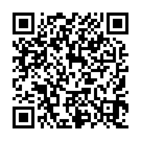 QR code for 599811