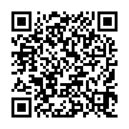 QR code for 599911