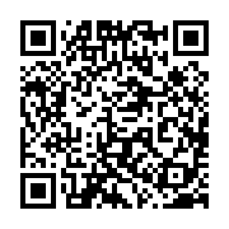 QR code for 600199