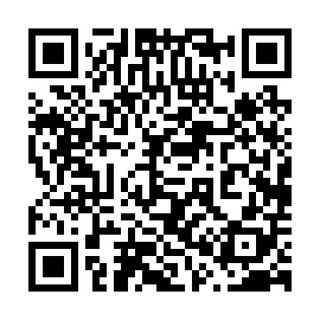 QR code for 600208