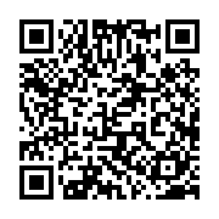 QR code for 600225