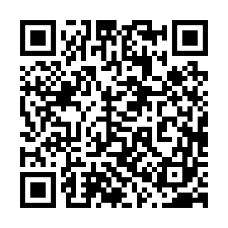 QR code for 600263