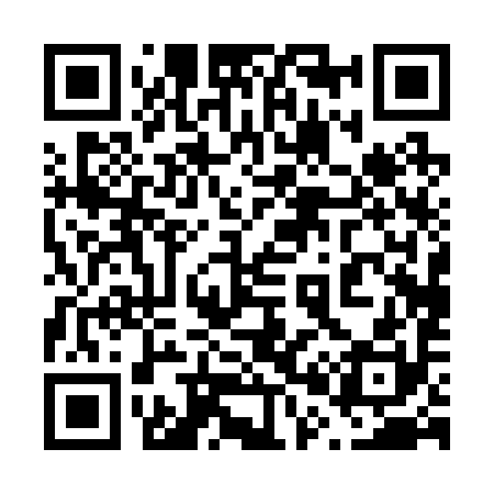 QR code for 600290