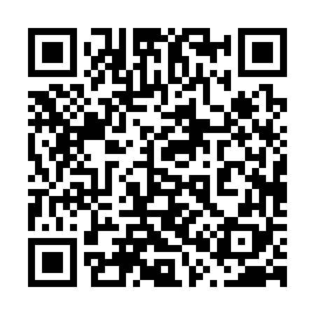 QR code for 600368