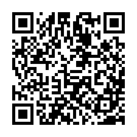 QR code for 600382