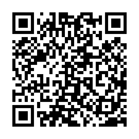 QR code for 600411