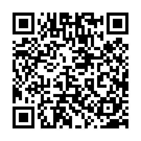 QR code for 600425
