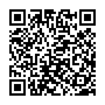 QR code for 600428