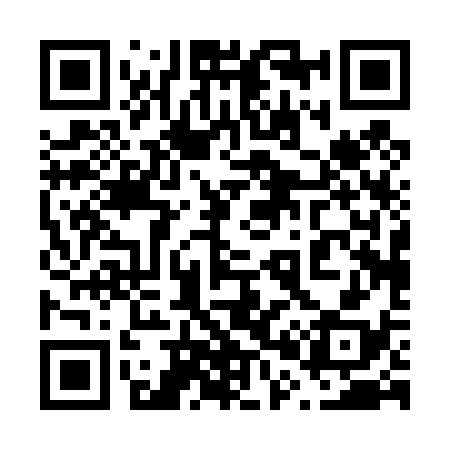 QR code for 600438