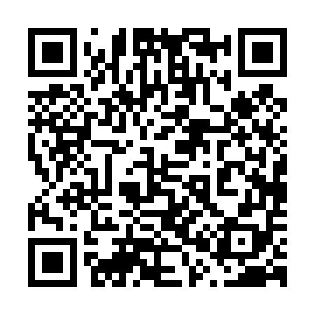 QR code for 600458
