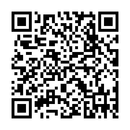 QR code for 600463