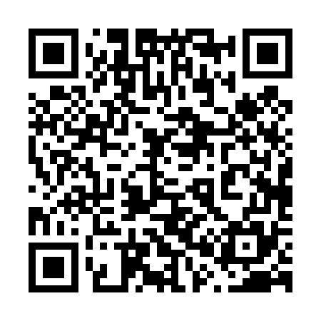 QR code for 600475