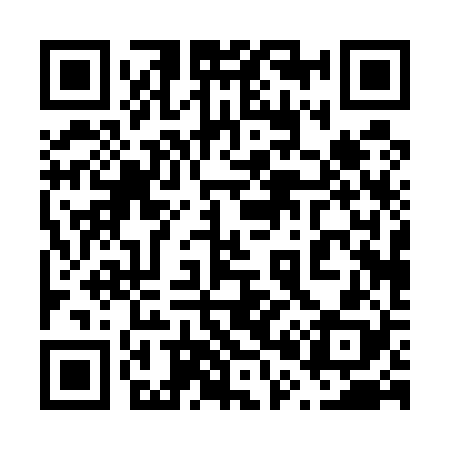 QR code for 600528
