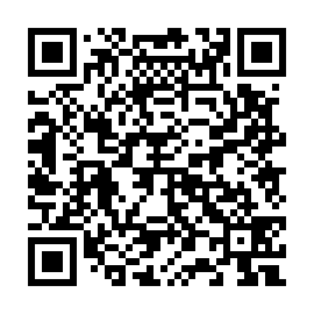 QR code for 600539