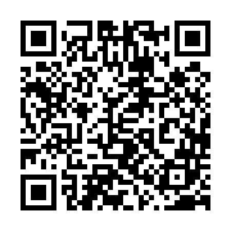 QR code for 600542