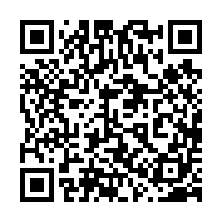 QR code for 600650