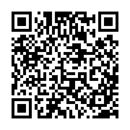 QR code for 600787