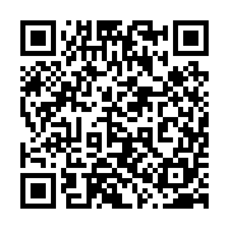QR code for 601255