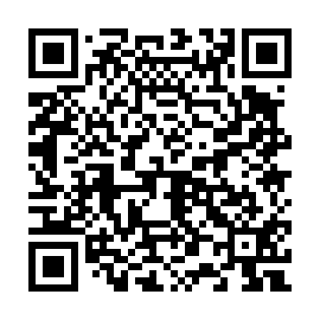 QR code for 601411