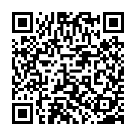 QR code for 603209