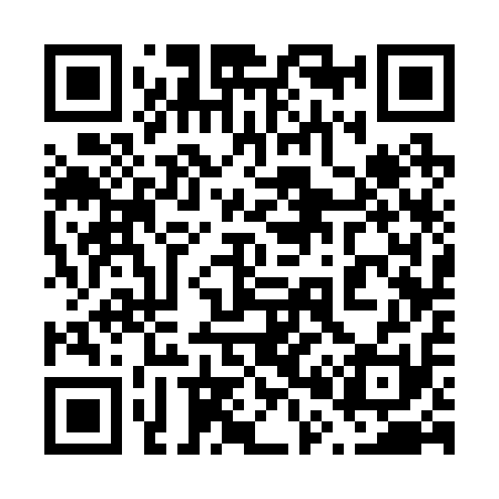QR code for 603211
