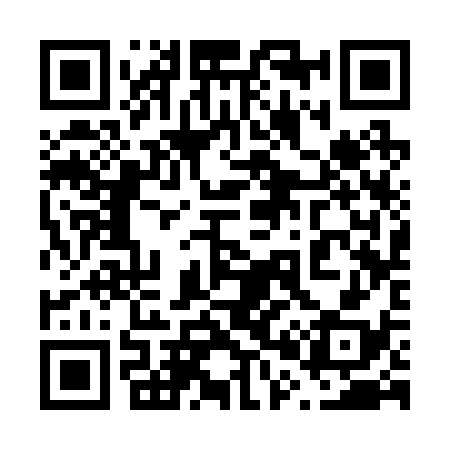 QR code for 603238