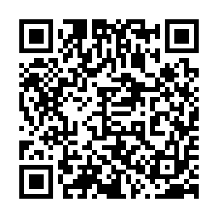 QR code for 603313