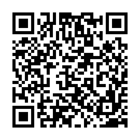 QR code for 603316