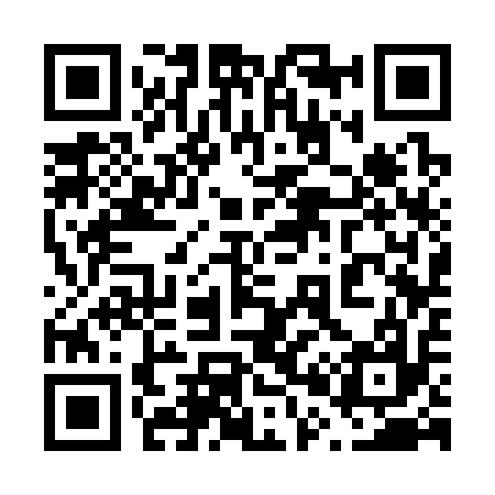 QR code for 603317