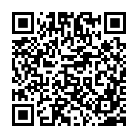 QR code for 603366