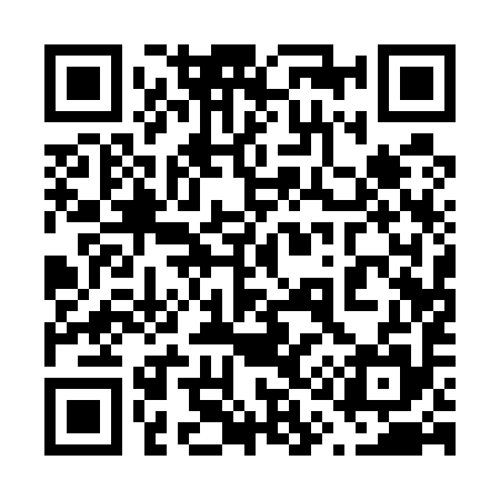 QR code for 611595