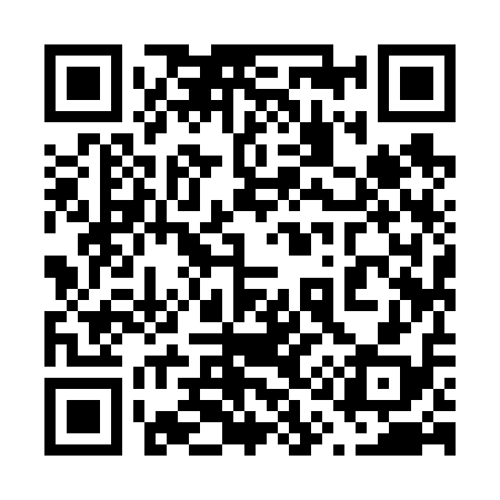 QR code for 619618