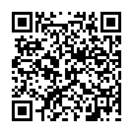 QR code for 625333