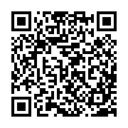 QR code for 630084