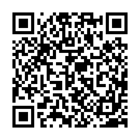QR code for 630217