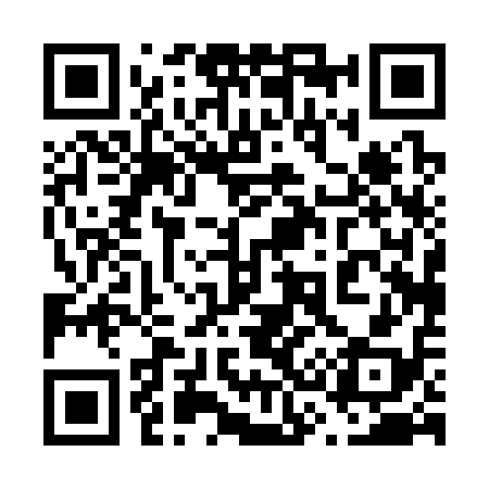 QR code for 630318
