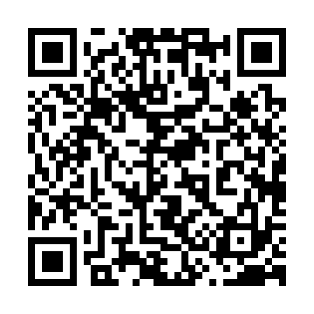 QR code for 630333