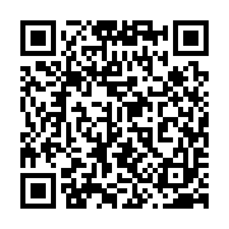 QR code for 635393