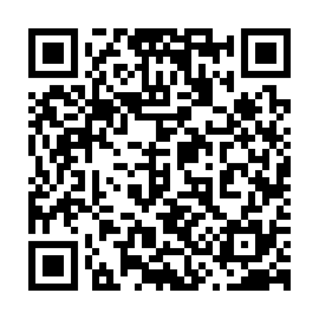 QR code for 636335