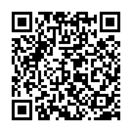 QR code for 636538