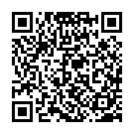 QR code for 638100