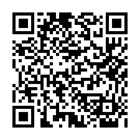 QR code for 638252