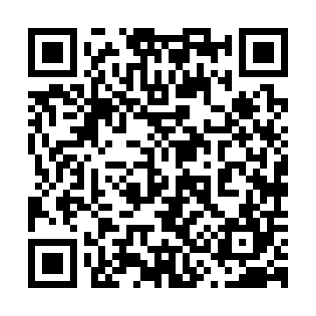QR code for 638304