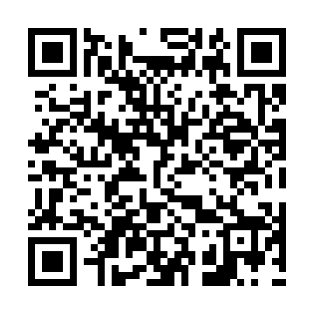 QR code for 638308