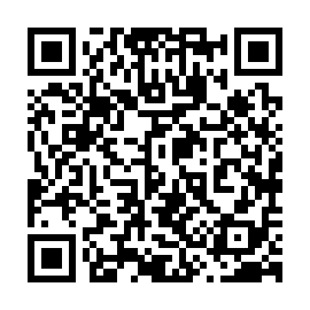QR code for 638318