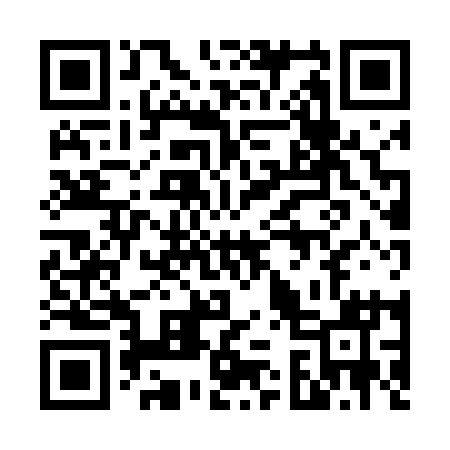 QR code for 638411