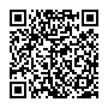 QR code for 638461