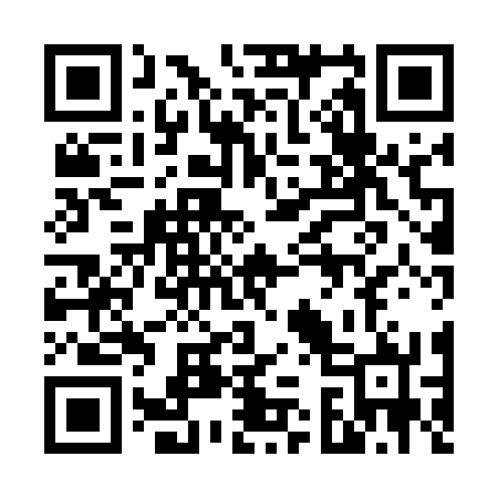 QR code for 638572